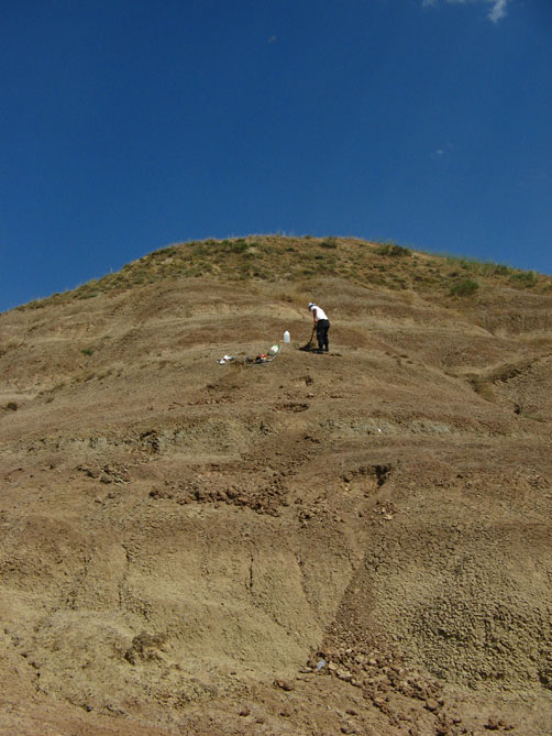 1) vue de la coupe