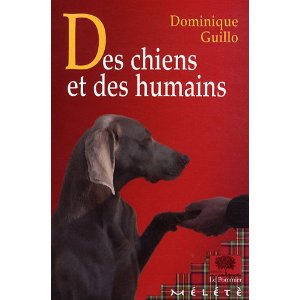 Blog chiens